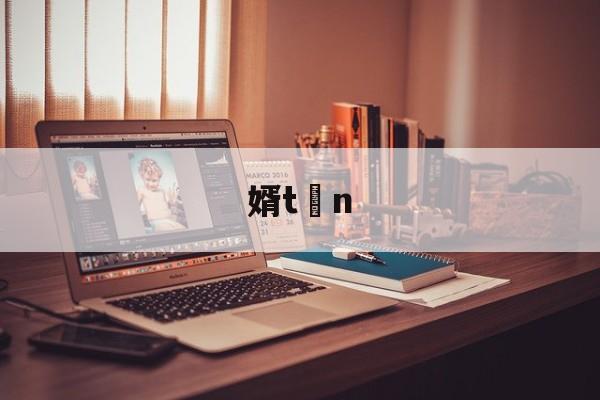 婿tn的简单介绍 婿tn的简单介绍