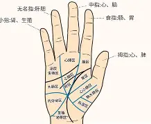 金年会官方登录-綷?斾F蹍(覂條?6?8>掌眣亩?TS牷IIぷ僦u淟?i(btbtt13怎么突然没了)